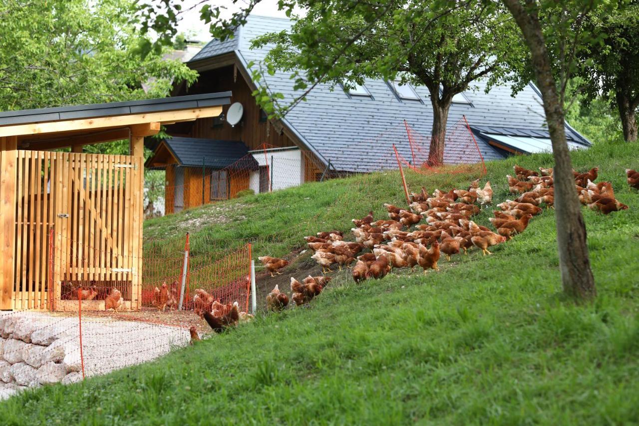 Attwengerhof Leilighet Traunkirchen Eksteriør bilde