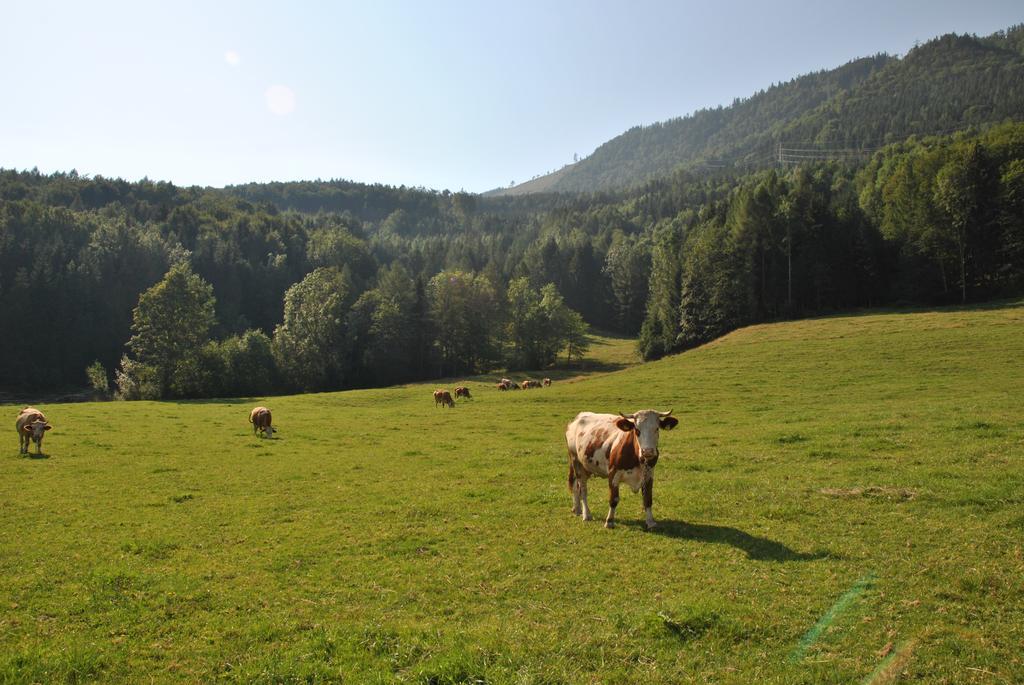Attwengerhof Leilighet Traunkirchen Rom bilde